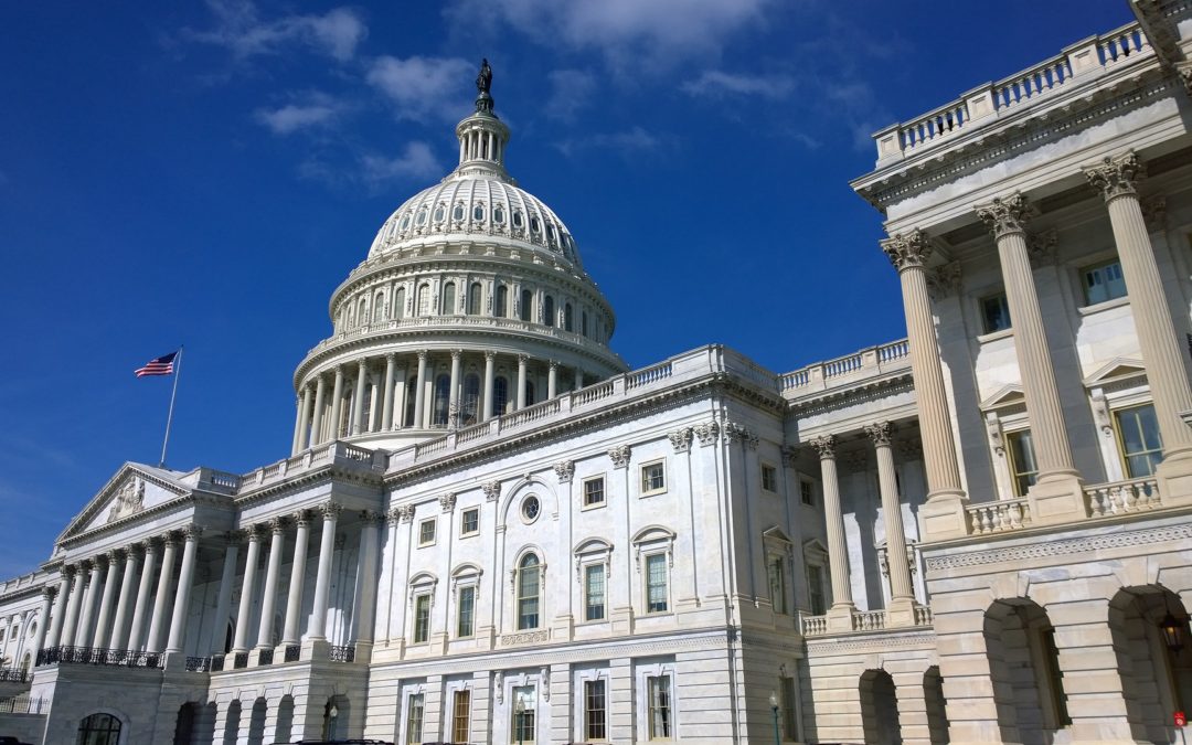 Brief Federal Legislative Recap and Preview into 2017