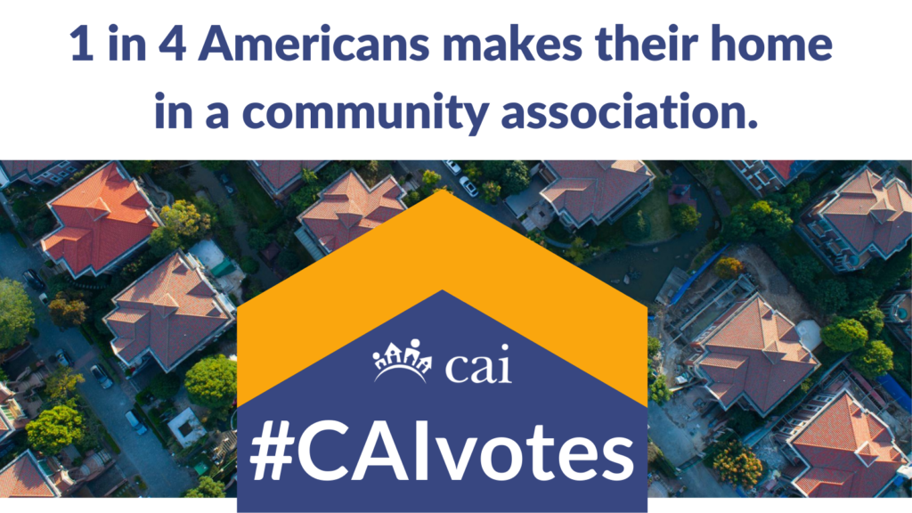 #CAIvotes