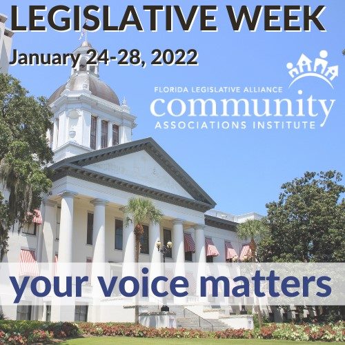 Florida Advocates Meet with Legislators During CAI Virtual Advocacy Week