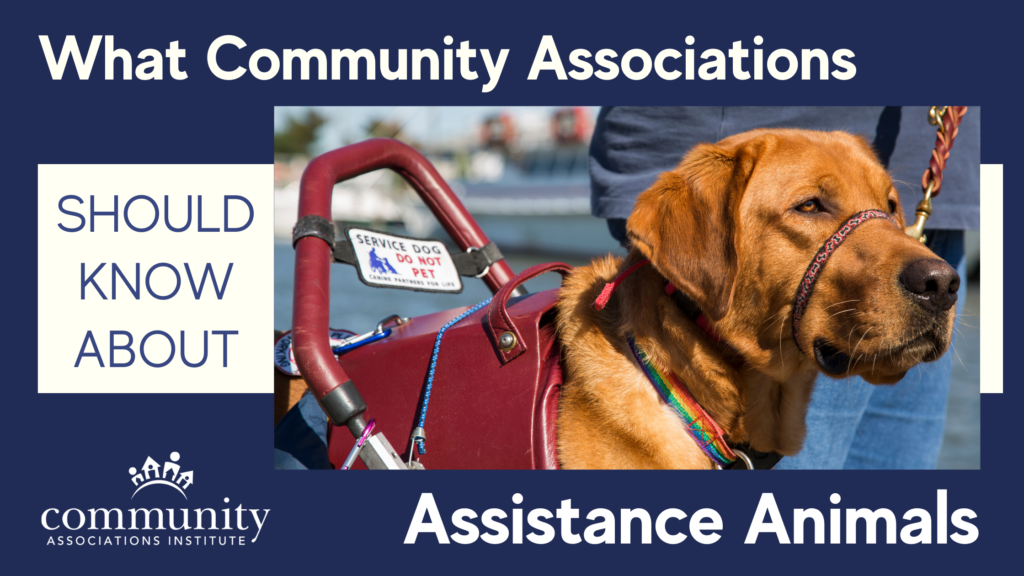 Assistance Animals & Community Associations