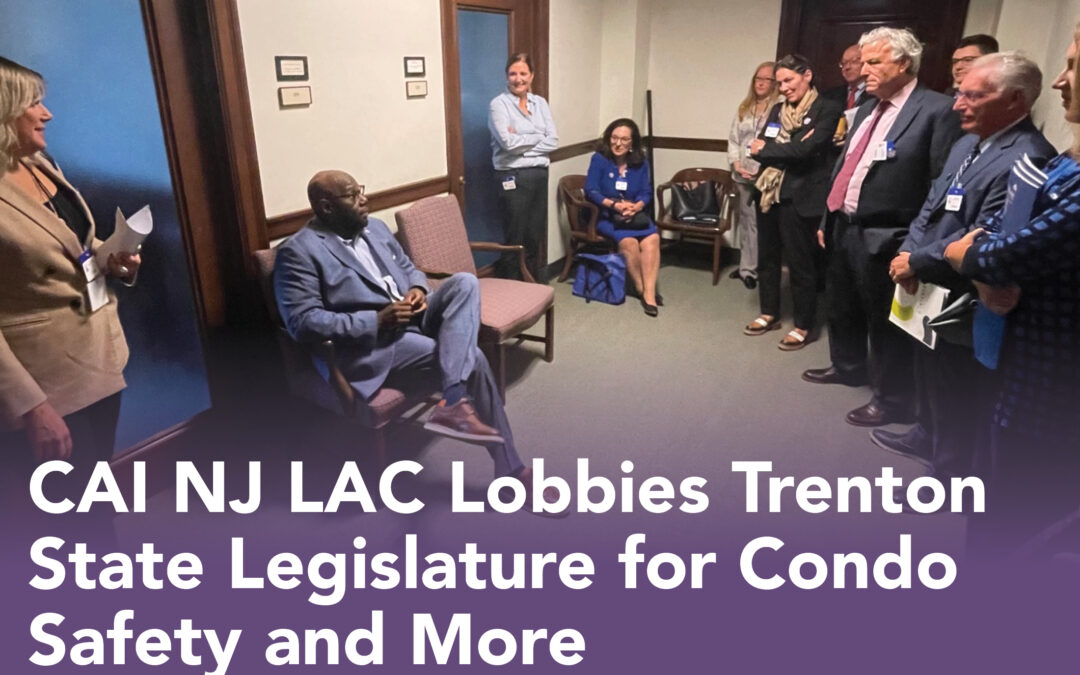 CAI NJ LAC Lobbies Trenton State Legislature for Condo Safety and More
