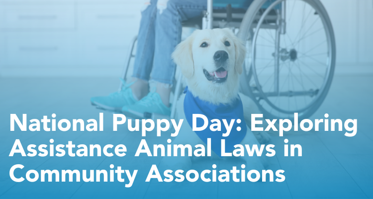 National Puppy Day: Exploring Assistance Animal Laws in Community Associations